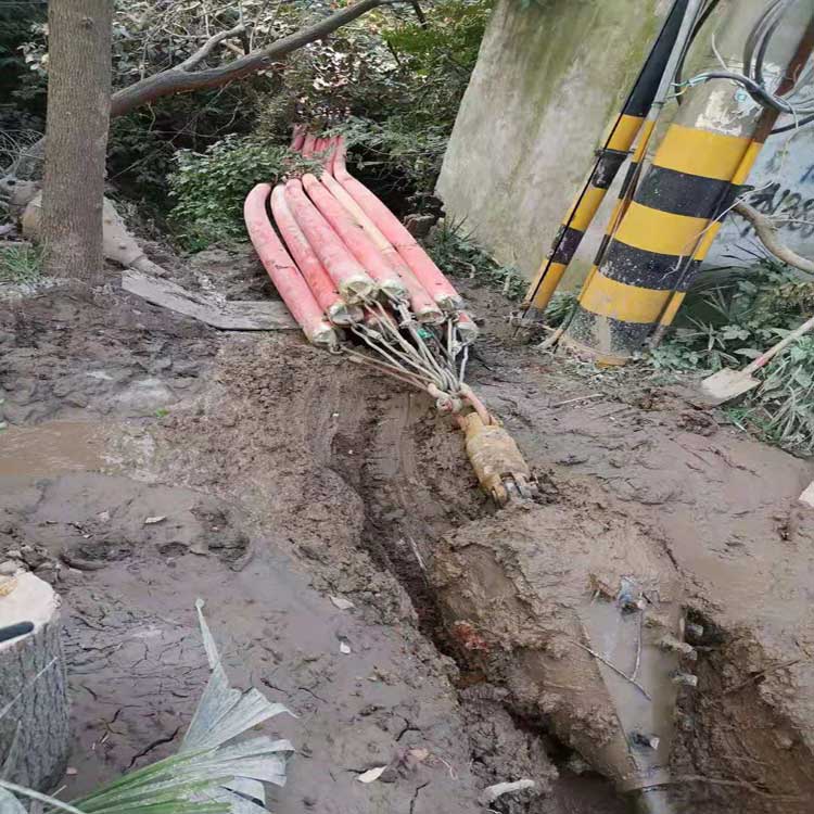 台州武汉焊接涂装线拖拉管